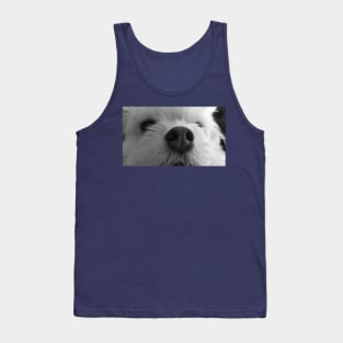 maltese, chiuahuah, white dog, puppy Tank Top